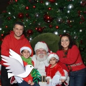 Meet your Posher, Dina